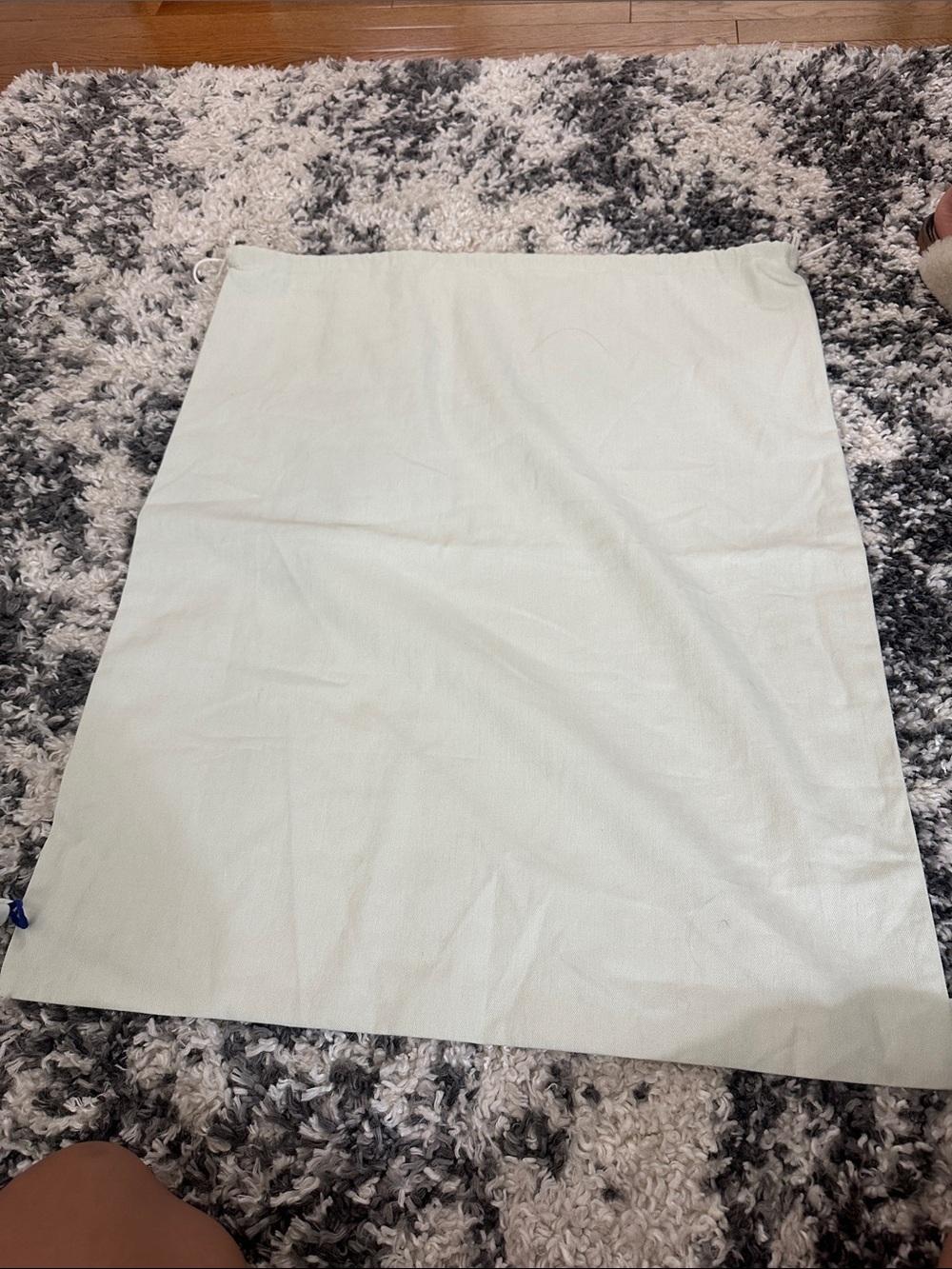 Loewe Mint Green Drawstring Dust Bag